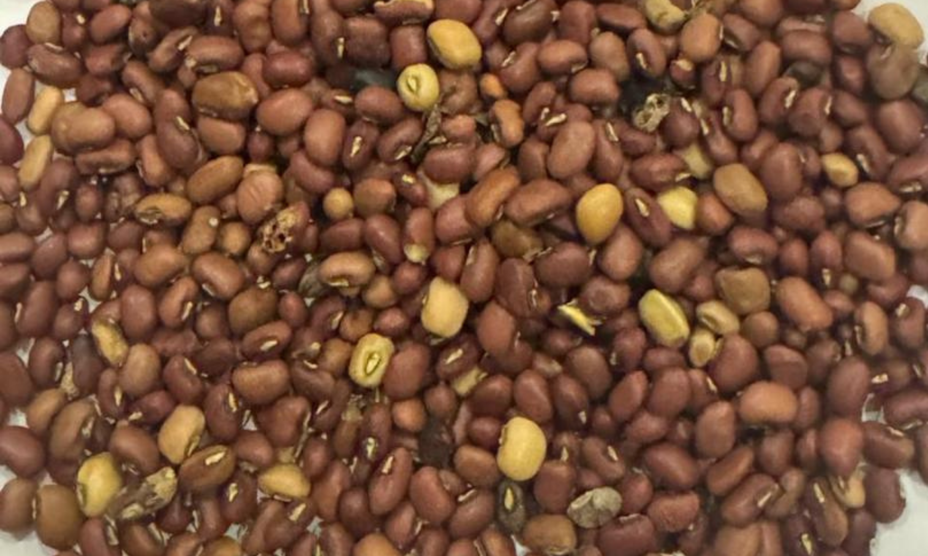 Agricultural Sourcing